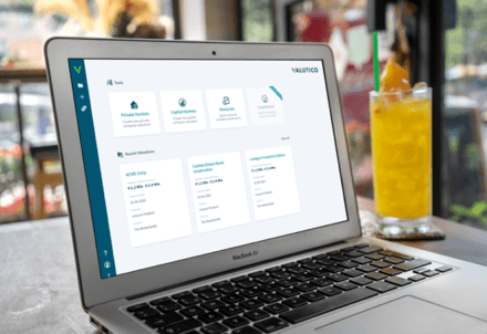 Captura de pantalla de Valutico en el portátil